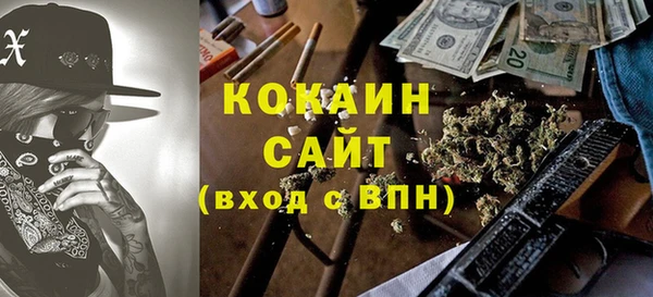 mix Богородицк